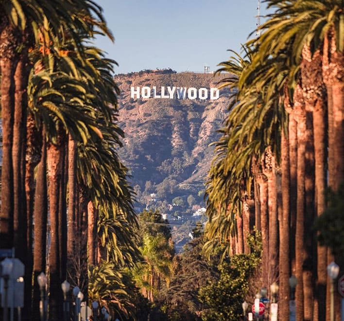 Rows of tall palm trees line a street leading toward the distant Hollywood sign on a sunlit hillside in Los Angeles.