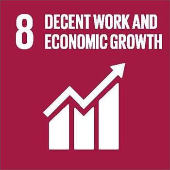 8. Decent Work and Economic Growth