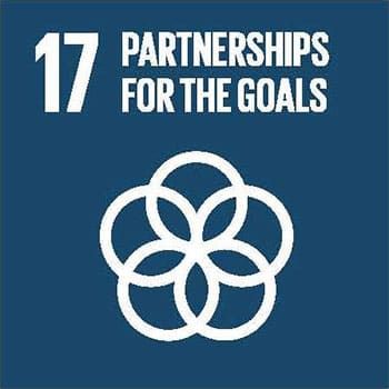 17. Partnerships for the Goals